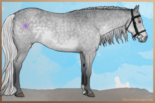 Horse Color:Silver Blue Chinchilla Roan