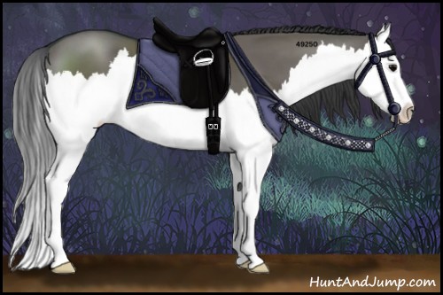 Horse Color:Grullo Sabino Splash 