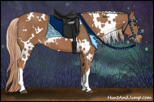 Horse Color:White Spotted Chestnut 