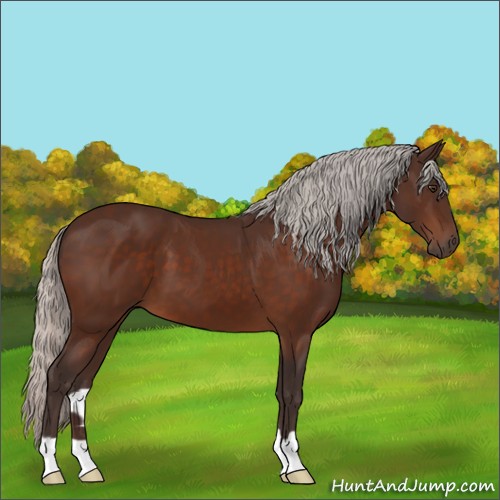 Horse Color:Silver Brown 