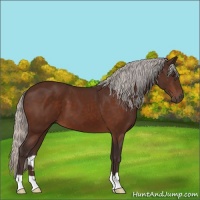 Horse Color:Silver Brown 