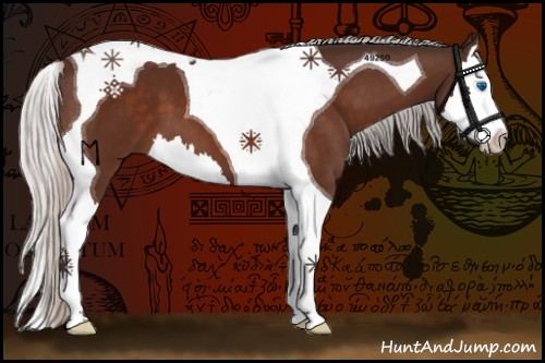 Horse Color:Silver Bay Splash Tobiano