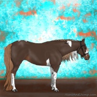 Horse Color:Liver Chestnut Tobiano 