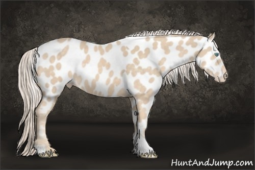 Horse Color:White Spotted Cremello Tobiano Near Leopard 