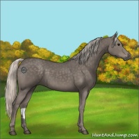 Horse Color:Silver Black 