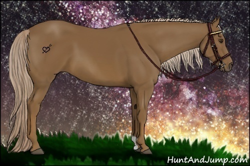 Horse Color:Chocolate Palomino