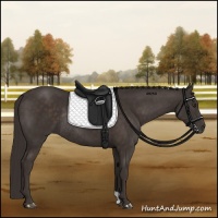 Horse Color:Liver Chestnut Rabicano 