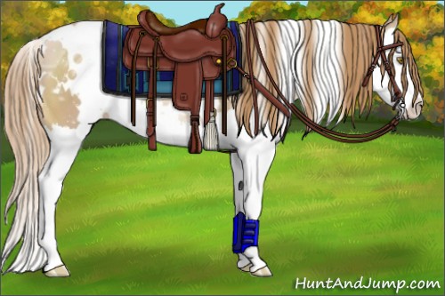 Horse Color:White Spotted Chestnut Ice Pearl Splash 
