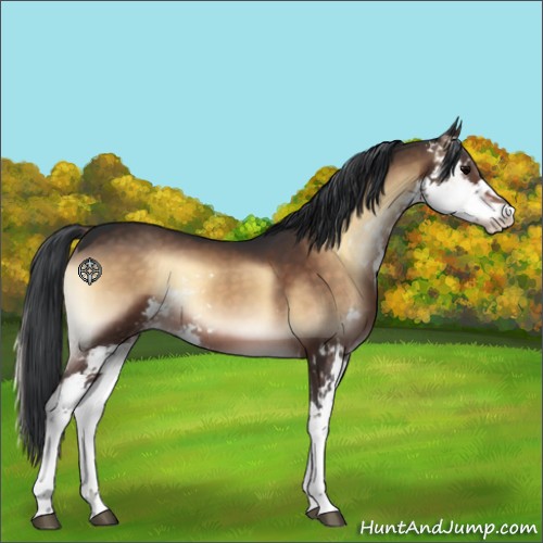 Horse Color:Brown Onyx Sabino