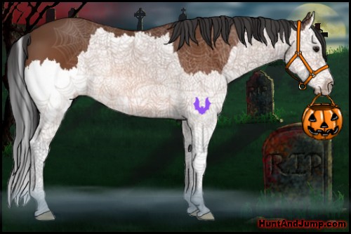 Horse Color:Bay Splash 