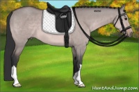 Horse Color:Platinum Bay Dun 