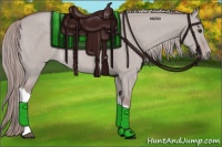 Horse Color:Platinum Red Dun 