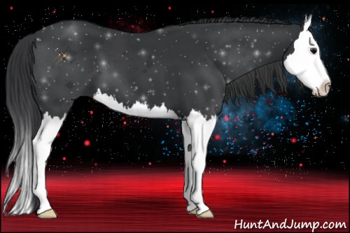 Horse Color:Black Splash