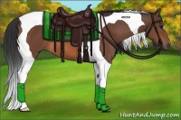 Horse Color:Bay Tobiano 