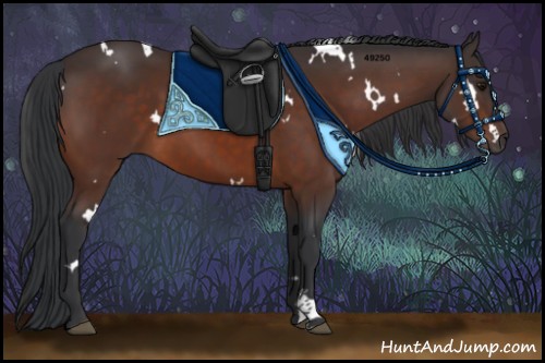 Horse Color:White Spotted Bay Rabicano