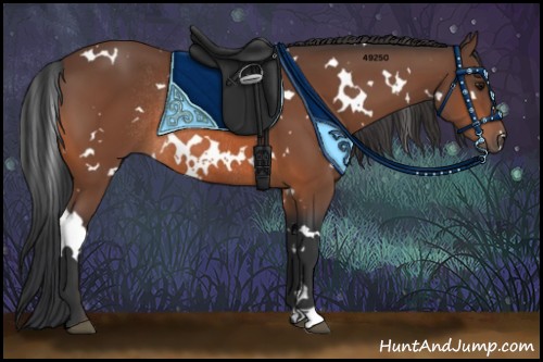 Horse Color:White Spotted Bay Rabicano