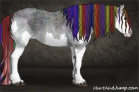 Horse Color:Painted Midnight Blue Ice Roan Splash 