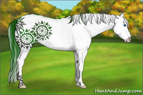 Horse Color:White Spotted Smoky Black Splash 