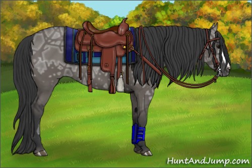 Horse Color:Grullo Ice 