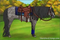 Horse Color:Grullo Ice 