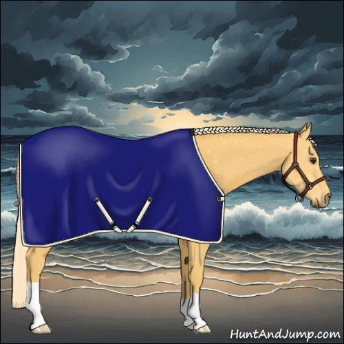 Horse Color:Palomino 