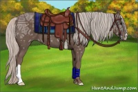 Horse Color:Silver Black Ice