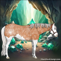 Horse Color:Silver Bay Ice Splash 