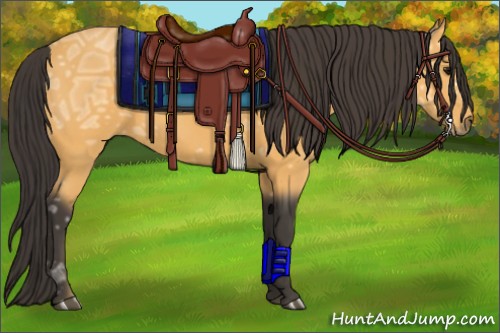 Horse Color:Buckskin Ice 