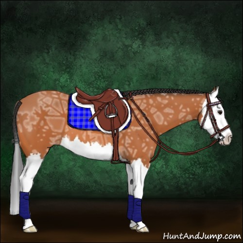 Horse Color:Bay Ice Splash 