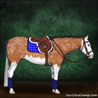 Horse Color:Bay Ice Splash