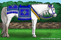 Horse Color:Gray Chestnut 