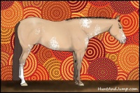 Horse Color:White Spotted Amber Champagne Roan 