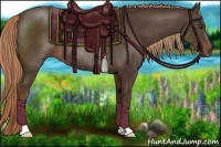 Horse Color:Liver Chestnut Rabicano