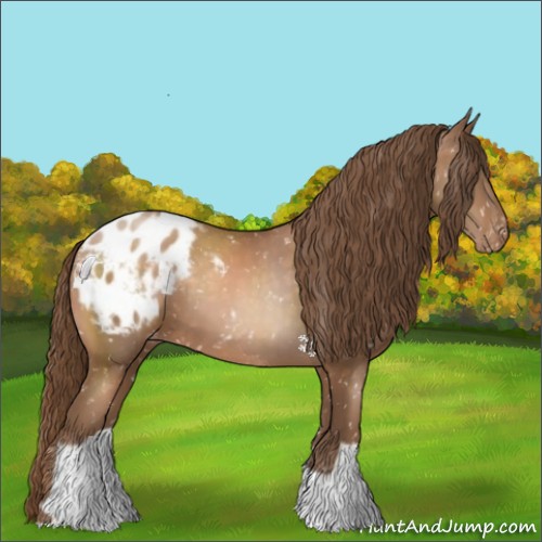 Horse Color:Brown Pearl Appaloosa 