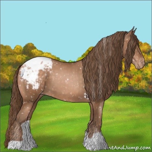 Horse Color:Brown Pearl Appaloosa 