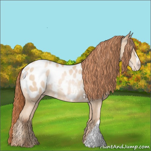 Horse Color:Sable Champagne Pearl Appaloosa 
