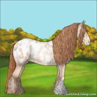 Horse Color:Sable Champagne Pearl Appaloosa 