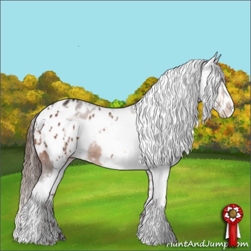 Horse Color:Brown Sabino Appaloosa  and Liver Chestnut Appaloosa 