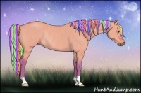 Horse Color:Painted Watercolor Silver Buckskin Dun Rabicano 