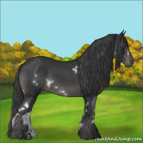 Horse Color:White Spotted Black 