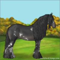 Horse Color:White Spotted Black