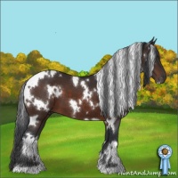 Horse Color:White Spotted Brown 