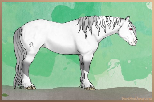 Horse Color:Amber Champagne Chinchilla Tobiano Blanket