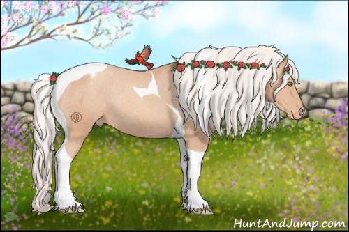 Horse Color:Silver Amber Champagne Tobiano Varnish Rabicano 