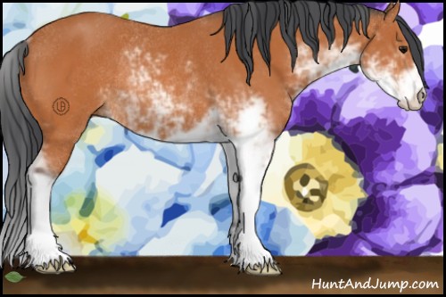 Horse Color:Bay Sabino Rabicano