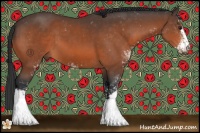 Horse Color:Brown Sabino 