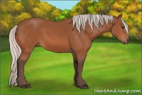 Horse Color:Silver Bay 
