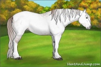 Horse Color:Gray Chestnut Splash Tobiano 