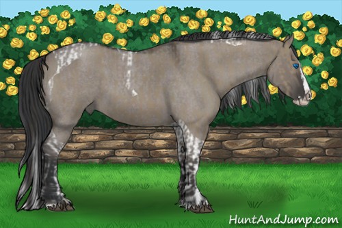 Horse Color:Smoky Grullo Sabino Splash Tobiano  and Grullo Roan Sabino Splash 