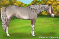Horse Color:Silver Blue Onyx Roan